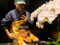 -Tivano意大利餐厅(成都居舍酒店)