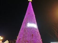 -国色天乡三期陆地乐园