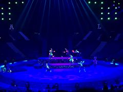 -珠海横琴长隆《卡卡虎奇遇记》