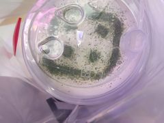 -YUMI芽米·法式烘焙·咖啡(文化宫店)