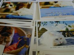 android_upload_pic-Anne猫窝咖啡屋