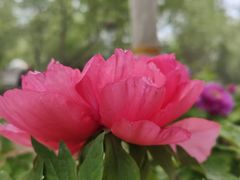 -裕华世纪公园
