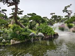 -罗红摄影艺术馆