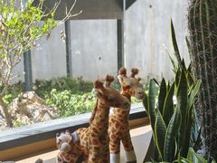 -ZOO COFFEE动物园咖啡(红山森林动物园店)