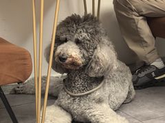 -沏点Trattoria意大利餐厅(新街口店)
