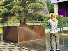 -Dal Cuore 达可芮冰淇淋(陕西北路店)