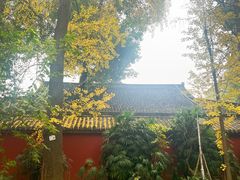 -成都市文殊院