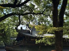 -普陀山风景名胜区-法雨禅寺