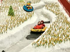 -广州热雪奇迹