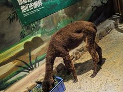 -绿色星球动物主题公园