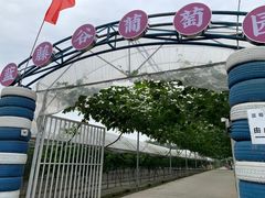 -金谷域澳洲庄园