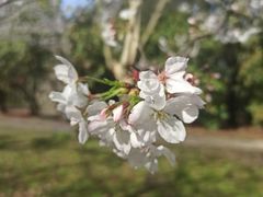 -共青国家森林公园-售票处