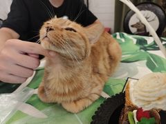 -JOJO实景沉浸侦探剧本杀(大悦城店)
