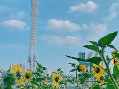 -二沙岛艺术公园