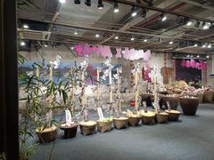 -重庆十八梯传统风貌区