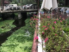 -Local泰莲庭(虹鳟鱼店)