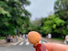 -八大关景区