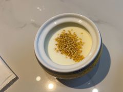 -十二毡房蒙餐·蒙古包