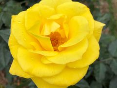 -人民公园(罗湖区)