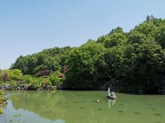 -陶祖圣境风景区