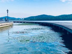 -水上明月·湖景餐厅