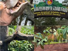 -海南热带野生动植物园