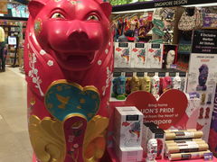 -樟宜机场免税店