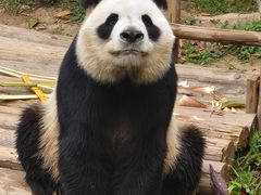 -深圳野生动物园