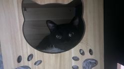 -Hair Code芭曲发型