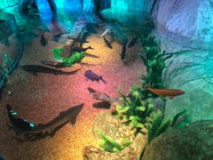 -沈阳海洋探索中心