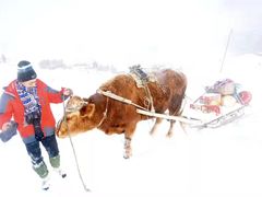-长白山华美胜地滑雪场
