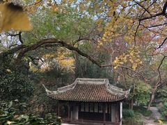 -秋霞圃