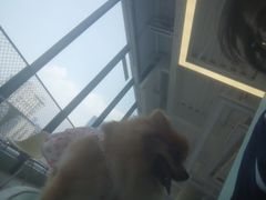-怪兽屋·羊驼·猫咖·狗咖(俊华广场店)