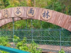 -西双版纳原始森林公园