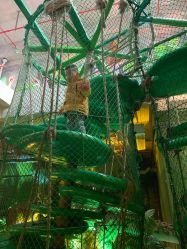 -恐龙探索乐园(磁器口店)