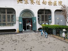 -北京赛佳动物医院