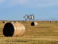 -呼伦贝尔大草原