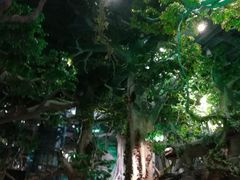 -福州罗源湾海洋世界旅游区