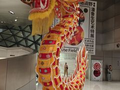 -深圳市当代艺术与城市规划馆