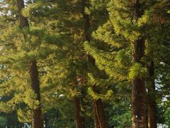 -人民公园(罗湖区)