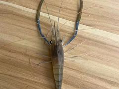 -粮心小农·大头虾亲子生态园(长发店)