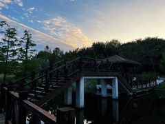 -同里国家湿地公园