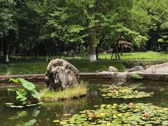 -温江公园