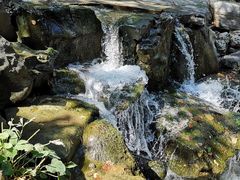 -百脉泉景区
