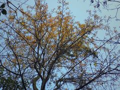 -杭州半山国家森林公园