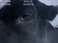 -CGV影城(源著IMAX店)