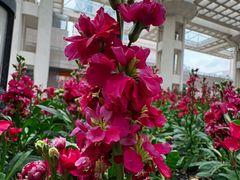 -泰康之家·申园