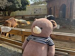 -HERRE·FARM 赫尔露营农场·团建聚会包场