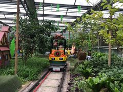 -南宫五洲植物乐园