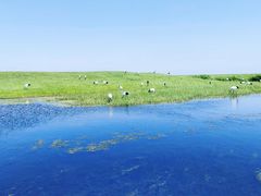 -黑龙江扎龙生态旅游区
